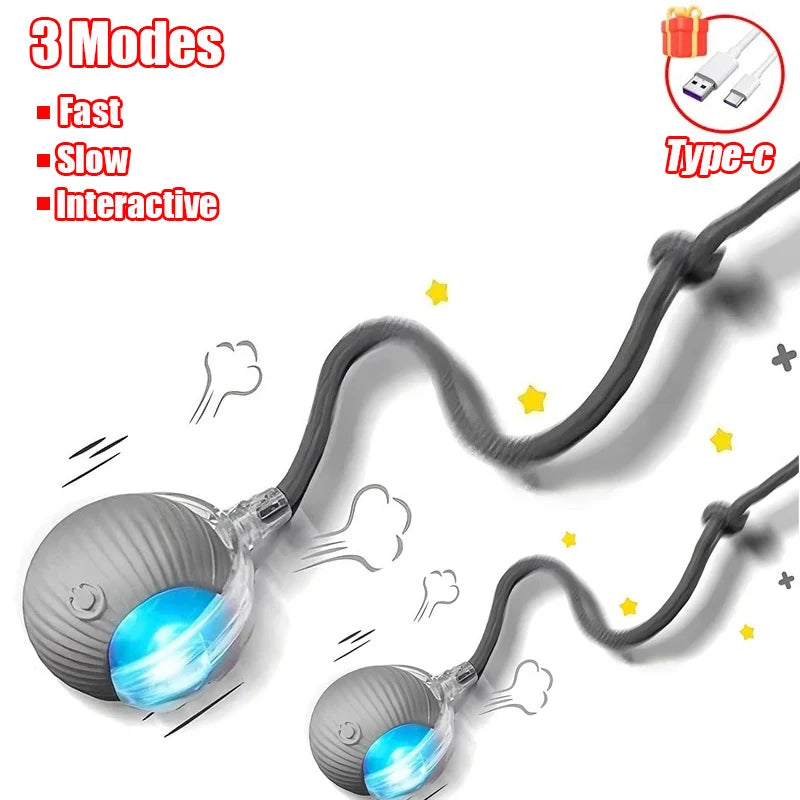 Rechargeable Smart Cat Ball Toy β Auto Rolling, Faux Tail, USB Type-C Interactive Play