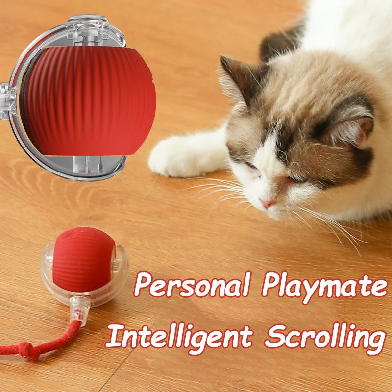 Rechargeable Smart Cat Ball Toy β Auto Rolling, Faux Tail, USB Type-C Interactive Play
