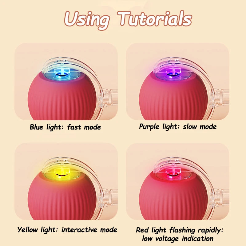 Rechargeable Smart Cat Ball Toy β Auto Rolling, Faux Tail, USB Type-C Interactive Play
