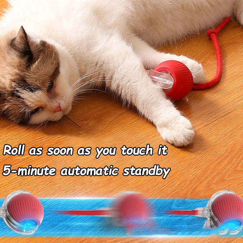 Rechargeable Smart Cat Ball Toy β Auto Rolling, Faux Tail, USB Type-C Interactive Play