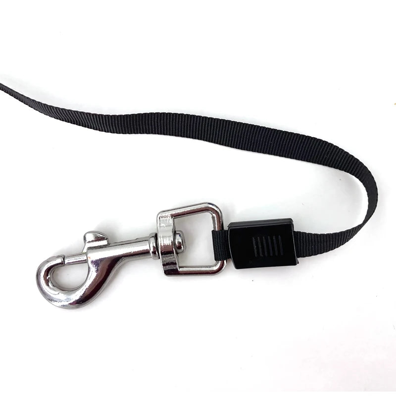 3M/5M Retractable Dog Leash With One - Touch Lock - Durable Automatic Pet Leash for Small & Medium Dogs and Cats (Multiple Colors)