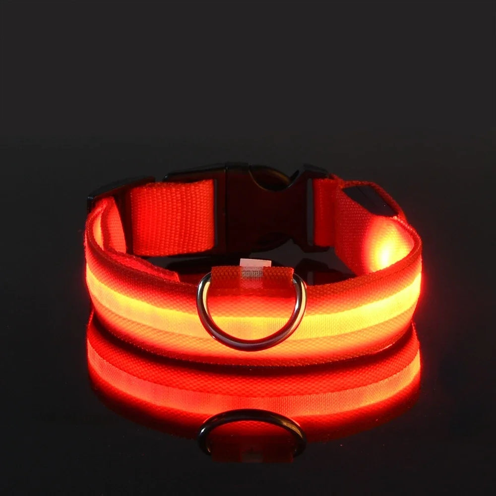 LED Nylon Dog Collar - Night Safety Glow in the Dark, USB Rechargeable, Adjustable Sizes