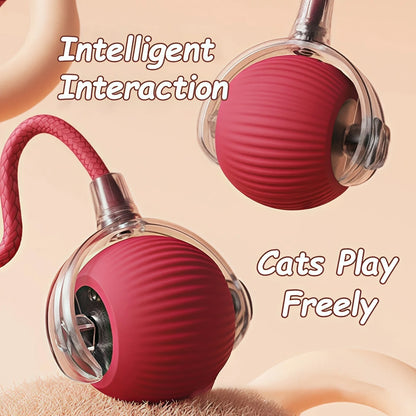 Rechargeable Smart Cat Ball Toy – Auto Rolling, Faux Tail, USB Type-C Interactive Play
