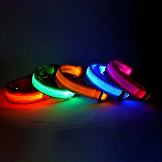 LED Nylon Dog Collar - Night Safety Glow in the Dark, USB Rechargeable, Adjustable Sizes