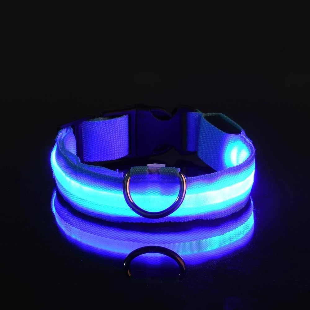 LED Nylon Dog Collar - Night Safety Glow in the Dark, USB Rechargeable, Adjustable Sizes