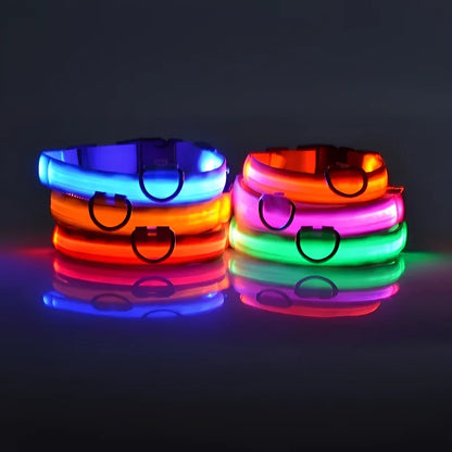 LED Nylon Dog Collar - Night Safety Glow in the Dark, USB Rechargeable, Adjustable Sizes