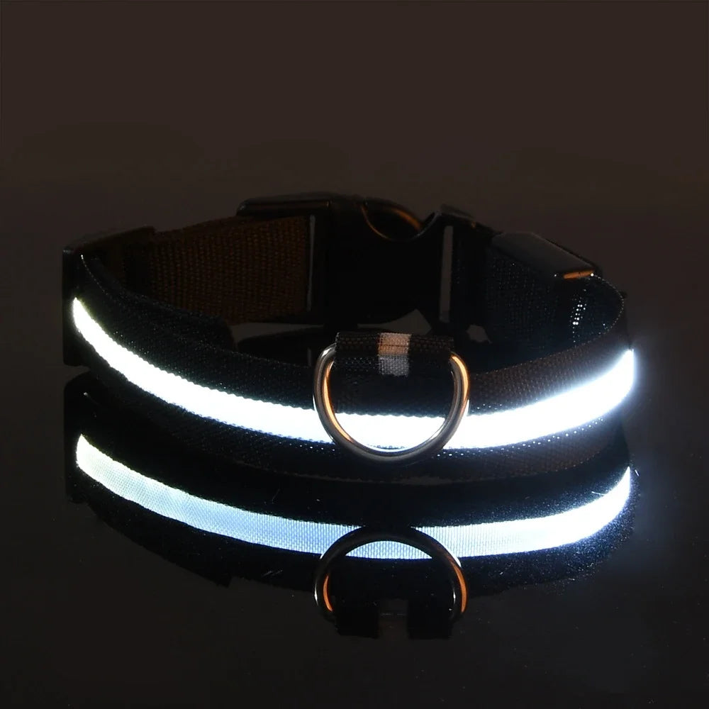 LED Nylon Dog Collar - Night Safety Glow in the Dark, USB Rechargeable, Adjustable Sizes