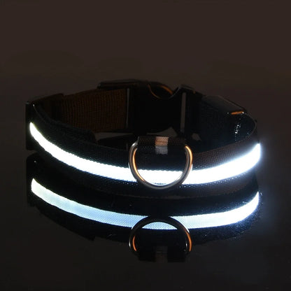 LED Nylon Dog Collar - Night Safety Glow in the Dark, USB Rechargeable, Adjustable Sizes