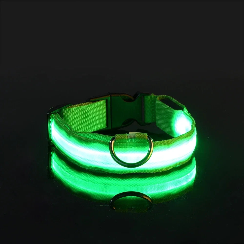 LED Nylon Dog Collar - Night Safety Glow in the Dark, USB Rechargeable, Adjustable Sizes