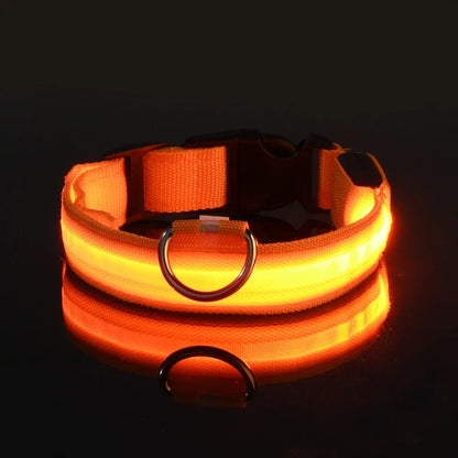 LED Nylon Dog Collar - Night Safety Glow in the Dark, USB Rechargeable, Adjustable Sizes