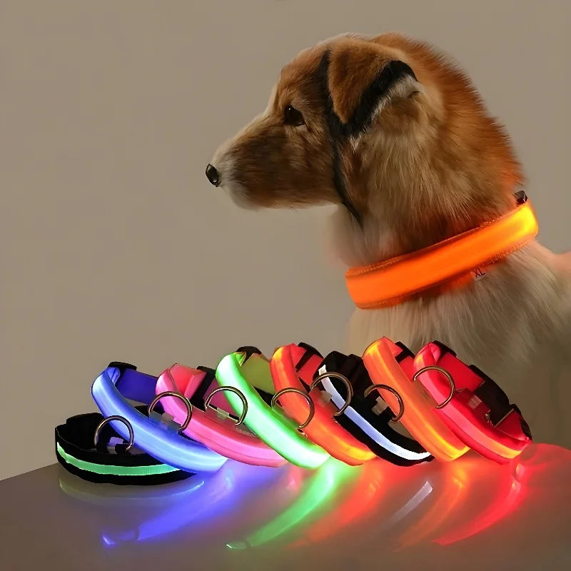 LED Nylon Dog Collar - Night Safety Glow in the Dark, USB Rechargeable, Adjustable Sizes