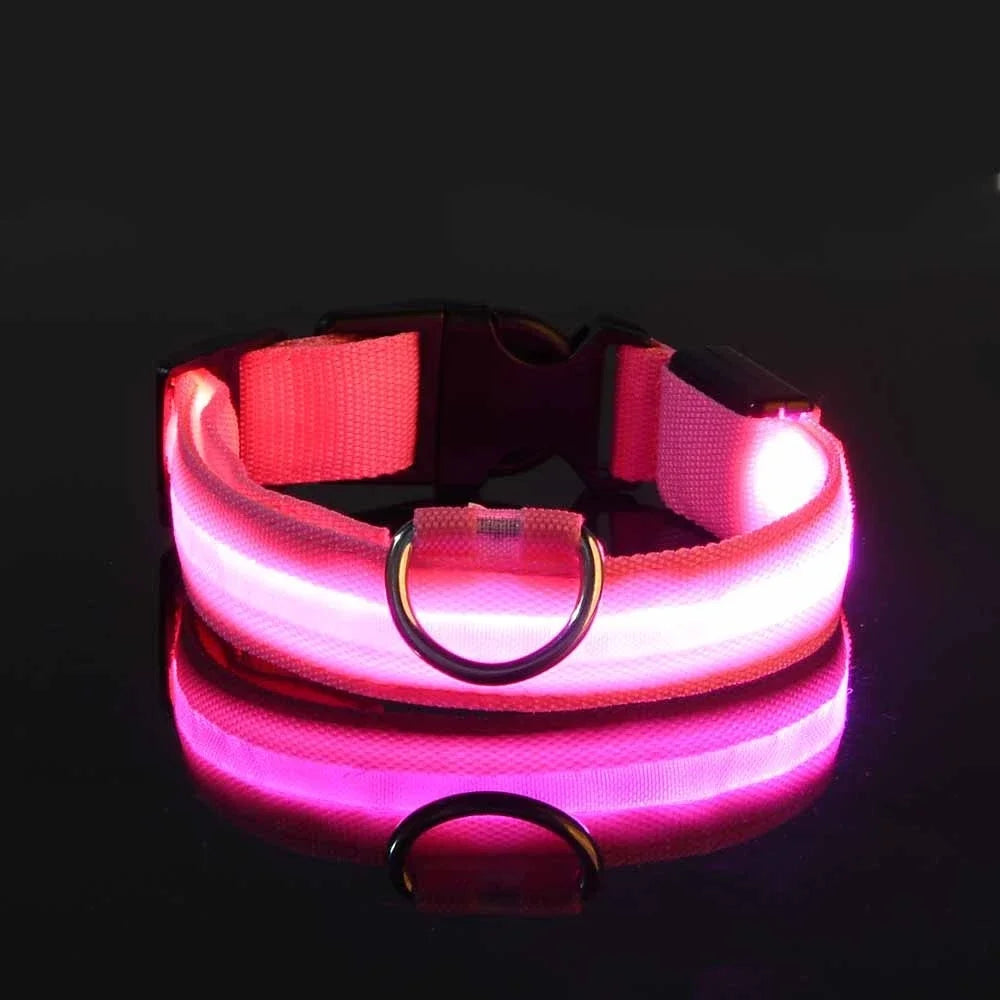 LED Nylon Dog Collar - Night Safety Glow in the Dark, USB Rechargeable, Adjustable Sizes