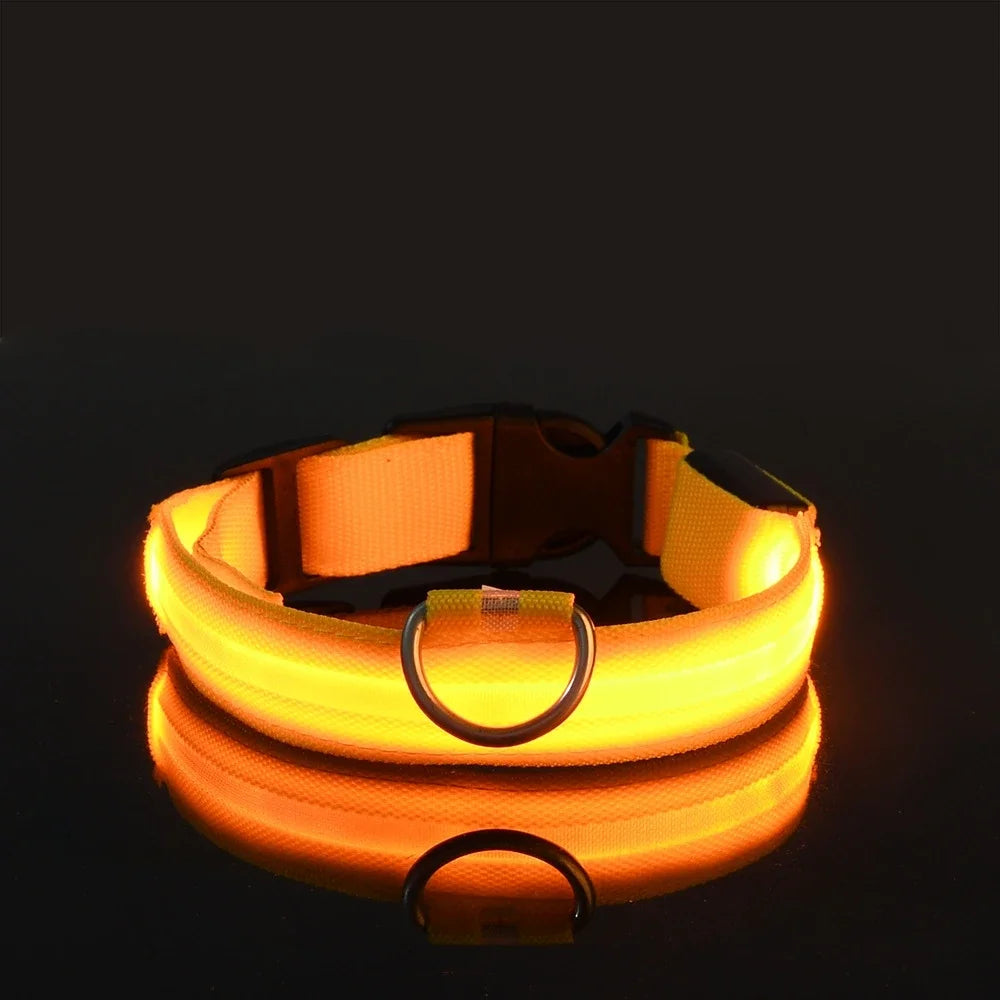 LED Nylon Dog Collar - Night Safety Glow in the Dark, USB Rechargeable, Adjustable Sizes